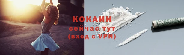 дживик Абинск