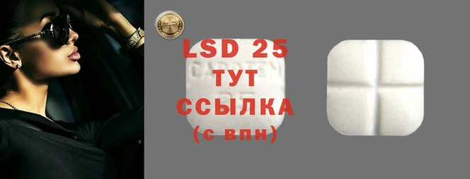 дживик Абинск