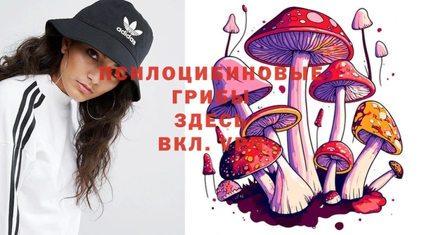 mdpv Абдулино