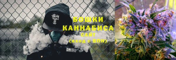 тгк Новозыбков