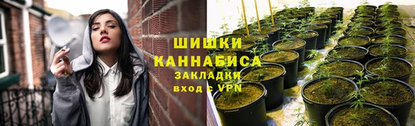тгк Новозыбков