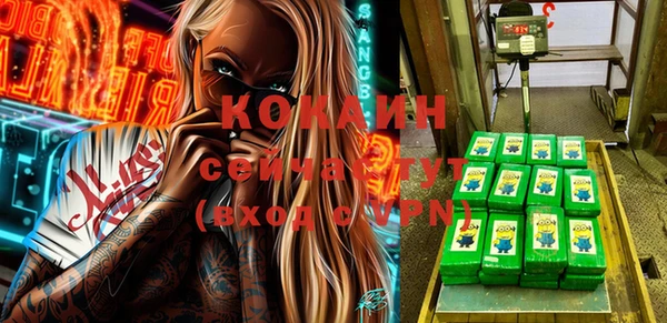 дживик Абинск